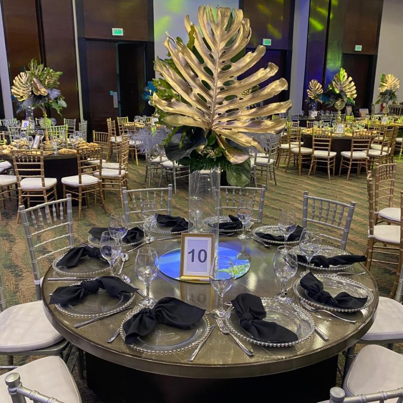 fiesta alto nivel n-3