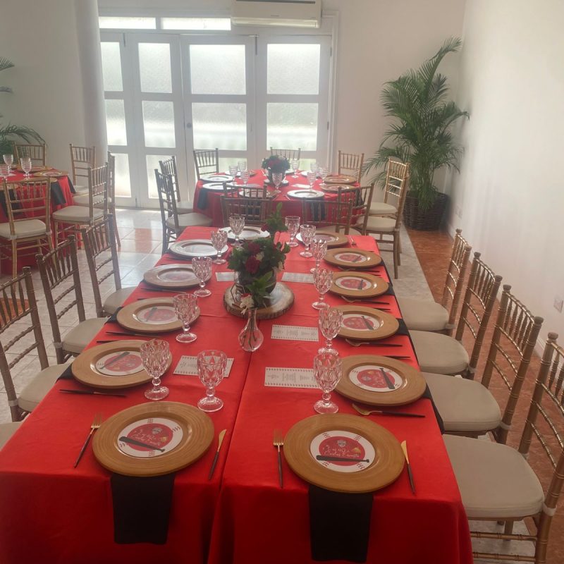 nueva fiesta alto nivel1