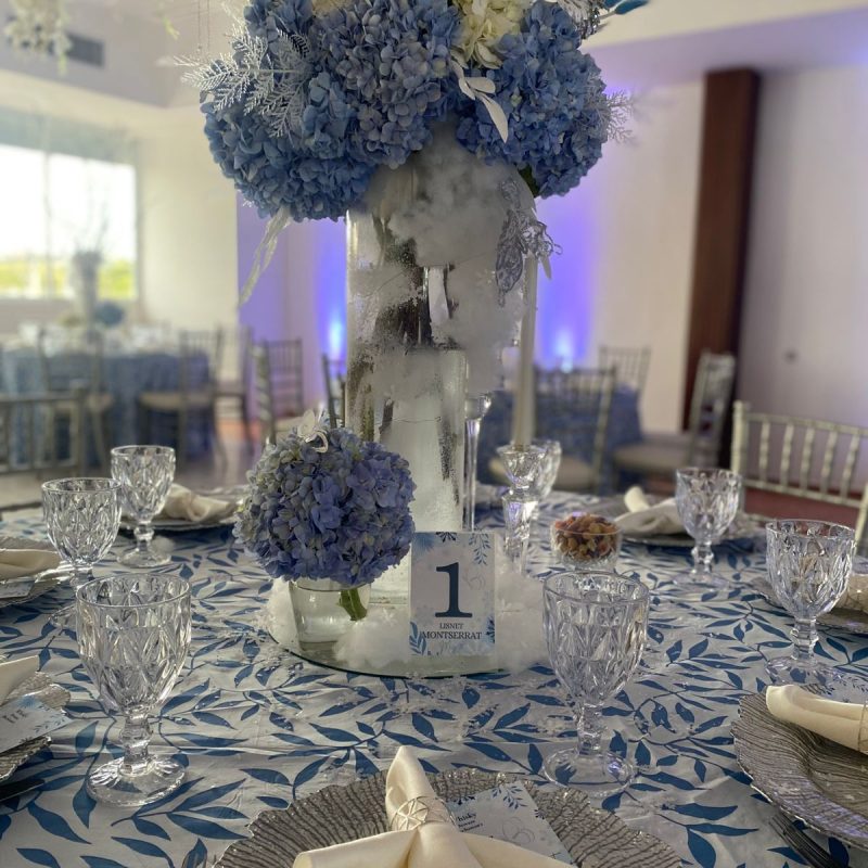 nueva fiesta alto nivel10