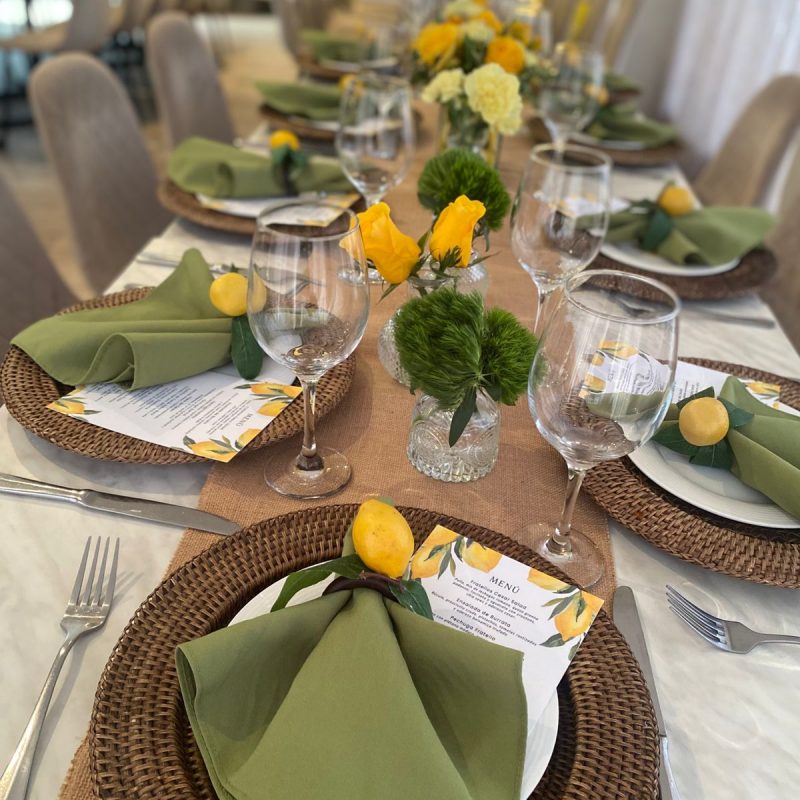 nueva fiesta alto nivel13