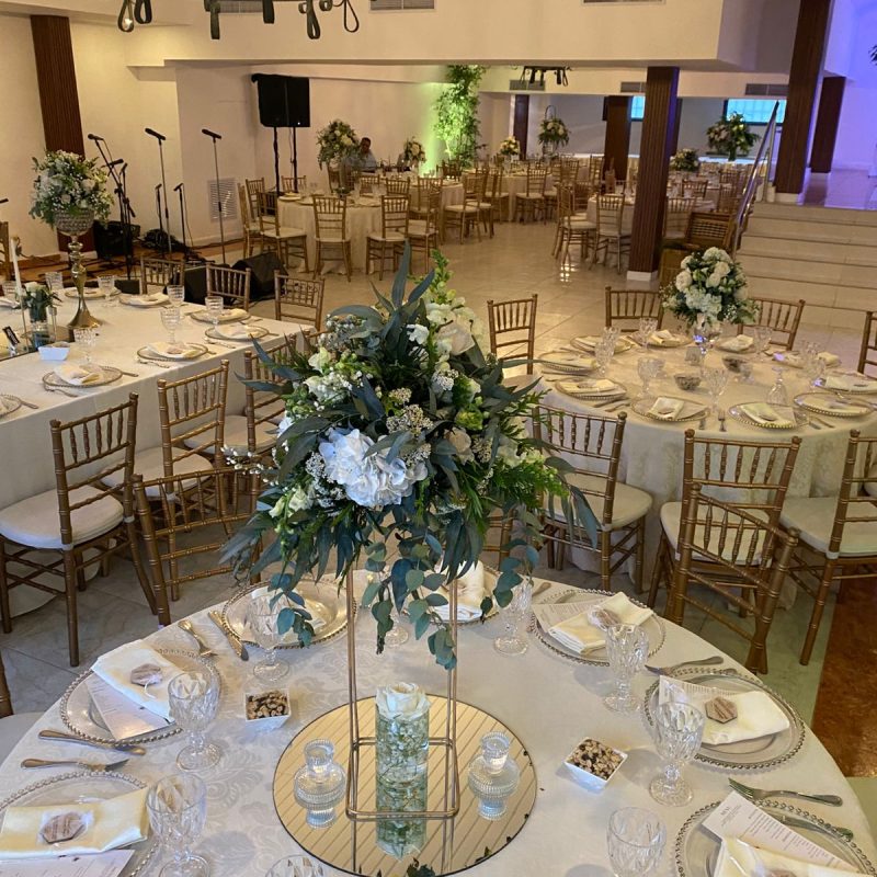 nueva fiesta alto nivel14