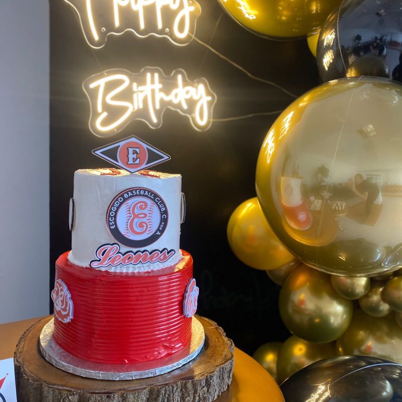 nueva fiesta alto nivel3