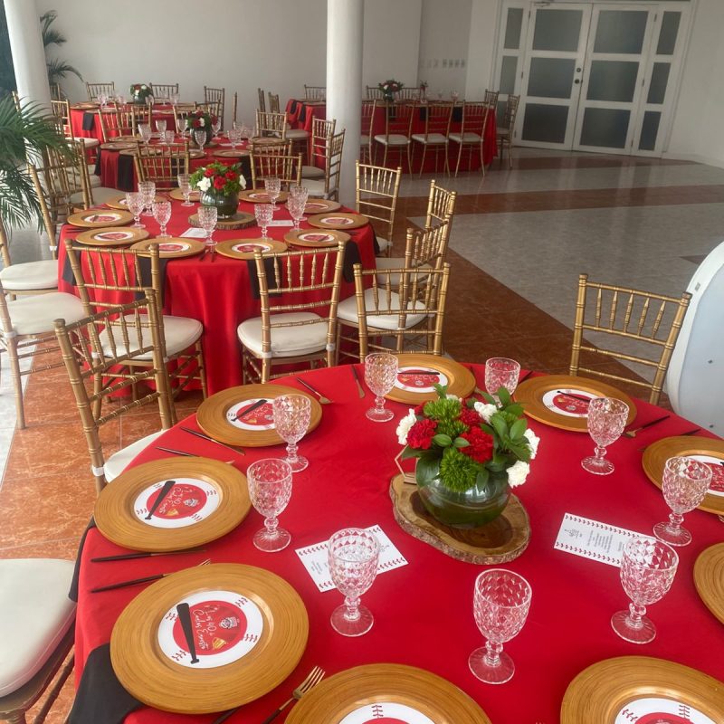 nueva fiesta alto nivel4