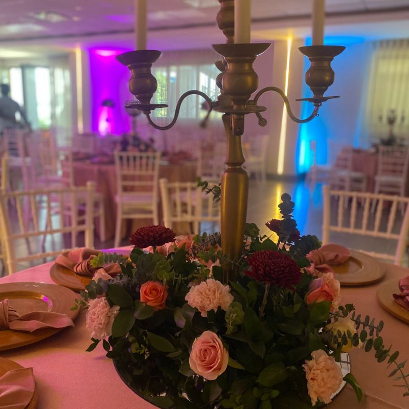 nueva fiesta alto nivel5