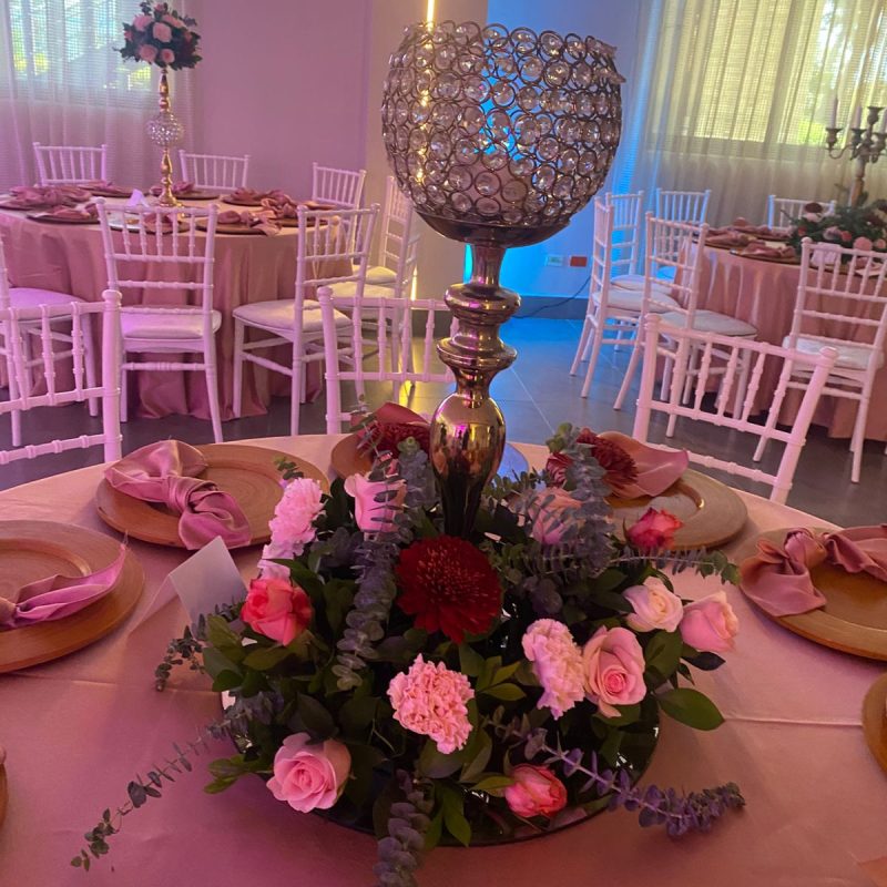 nueva fiesta alto nivel6