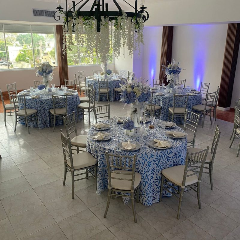 nueva fiesta alto nivel8