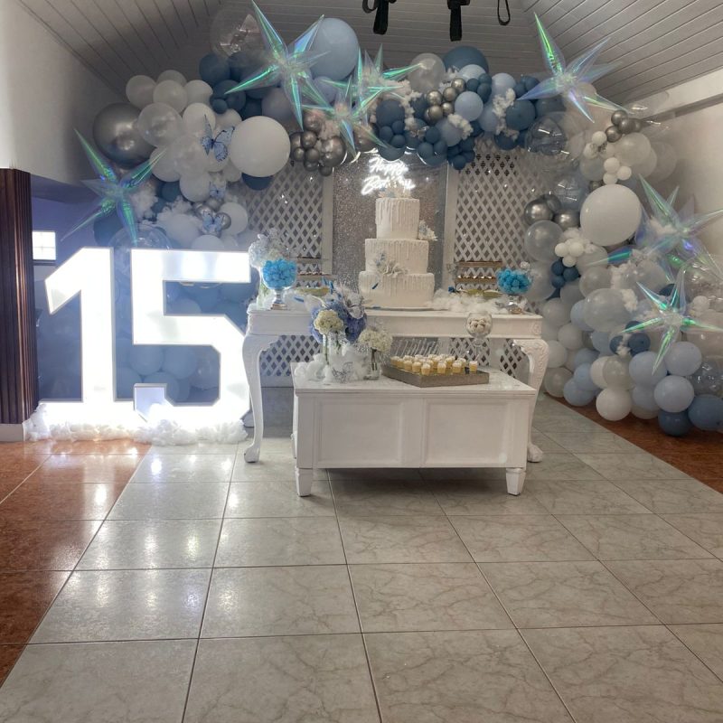 nueva fiesta alto nivel9